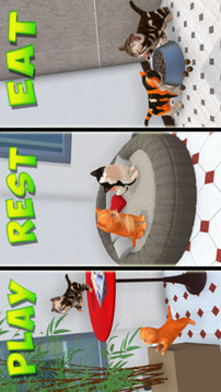 沙雕猫模拟器游戏截图2