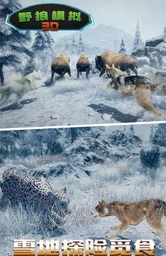 野狼模擬3D游戲截圖2