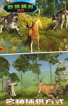 野狼模擬3D游戲截圖1