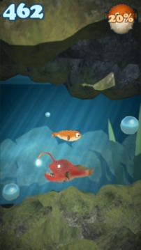 瘋狂的海豚游戲截圖1