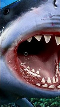 狩獵食人鯊游戲截圖3