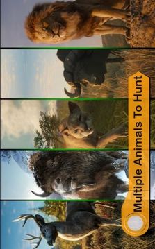 野生動物狩獵2021游戲截圖2