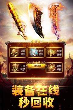 天王神器單職業(yè)游戲截圖2