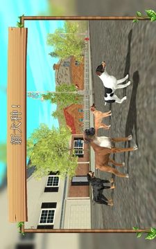 城市狗狗模擬生存游戲截圖2