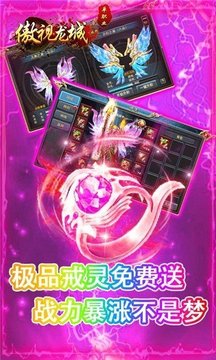 傲視龍城單職業(yè)游戲截圖2