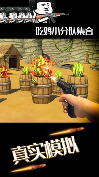 大西瓜射擊大師游戲截圖3