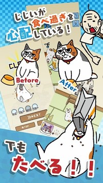 為饑餓的貓尋找飼料游戲截圖2