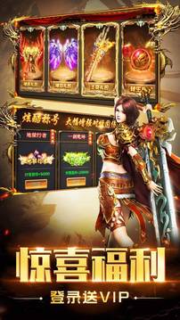 新開火龍2合1單職業(yè)游戲截圖3