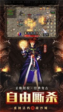 刀刀秒殺單職業(yè)傳奇游戲截圖3