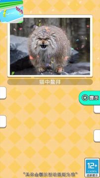 洗牙小能手游戲截圖2
