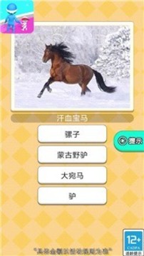 放學(xué)街頭見游戲截圖2