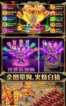 權(quán)御冰雪游戲截圖1