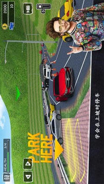 速度高爾夫停車專家游戲截圖4
