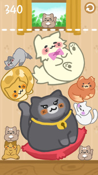 貓咪滿屋游戲截圖2