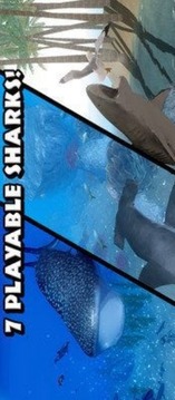 深海鲨鱼游戏截图1