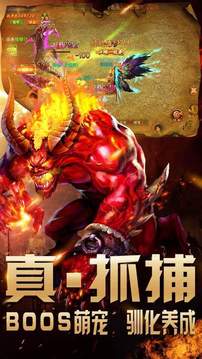 傳奇貴族大極品游戲截圖1