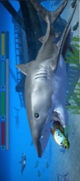 深海鲨鱼游戏截图2