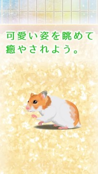治愈的倉(cāng)鼠養(yǎng)成游戲截圖3