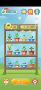 植物金幣屋游戲截圖1