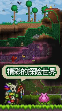 泰拉瑞亞蠻荒游戲截圖3