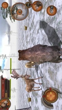 熊森林3D游戲截圖3