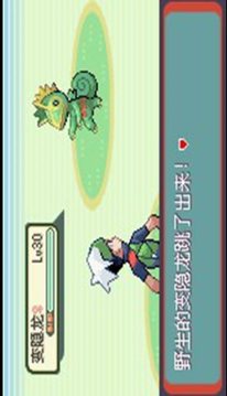 口袋妖怪之綠寶石游戲截圖2
