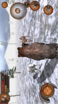 熊森林3D游戲截圖2