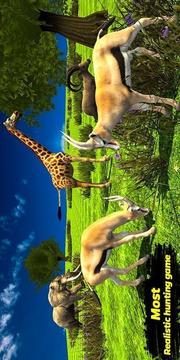 野生動物獵人非洲獅狩獵游戲截圖2