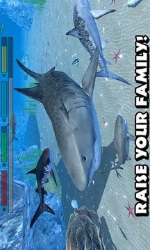 終極鯊魚游戲截圖1