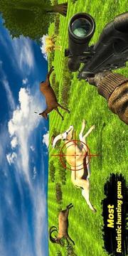 野生動物獵人非洲獅狩獵游戲截圖1