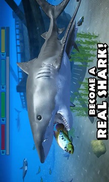 終極鯊魚游戲截圖2