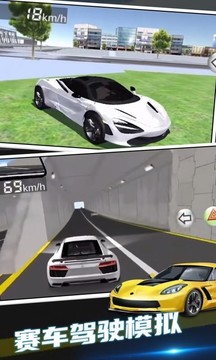 超凡賽車手游戲截圖1