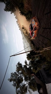 FIA世界汽車?yán)﹀\標(biāo)賽9游戲截圖2