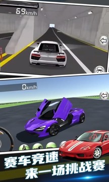 超凡賽車手游戲截圖2
