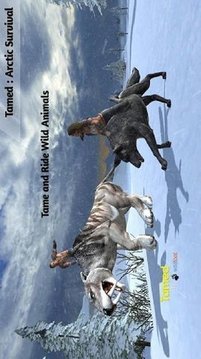 北極生存狩獵游戲截圖1