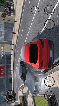 真實(shí)汽車(chē)模擬2021游戲截圖2