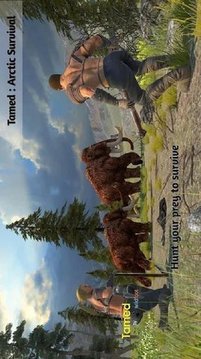 北極生存狩獵游戲截圖2