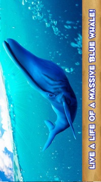 深海蓝鲸模拟游戏截图3