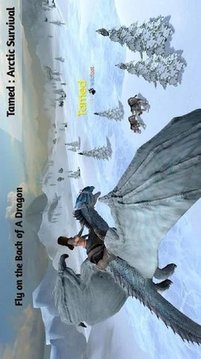 北極生存狩獵游戲截圖3