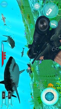 鯊魚獵手3D游戲截圖1