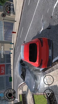 真實(shí)汽車(chē)模擬2021游戲截圖3