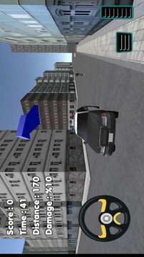 警察駕駛大師游戲截圖1