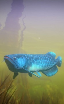海底與獵殺游戲截圖3