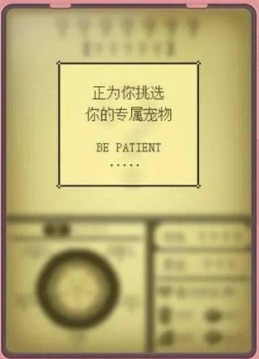 電子寵物大作戰(zhàn)游戲截圖3
