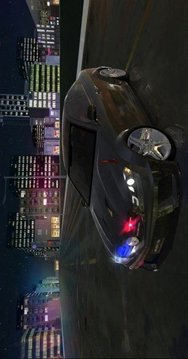 AMG賽車與駕駛游戲截圖3