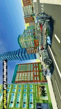 真正的拉什賽車游戲截圖2