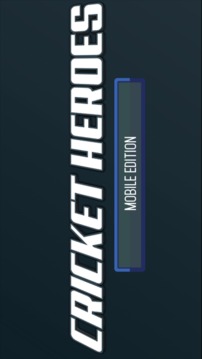 板球英雄lite游戲截圖3