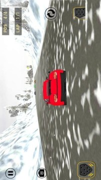頂級賽車模擬游戲截圖3