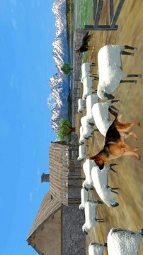 牧羊犬動物3D游戲截圖3