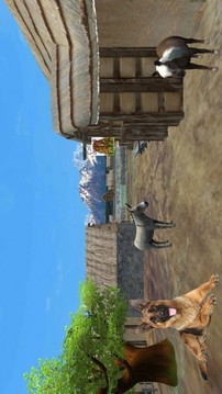 牧羊犬動物3D游戲截圖2